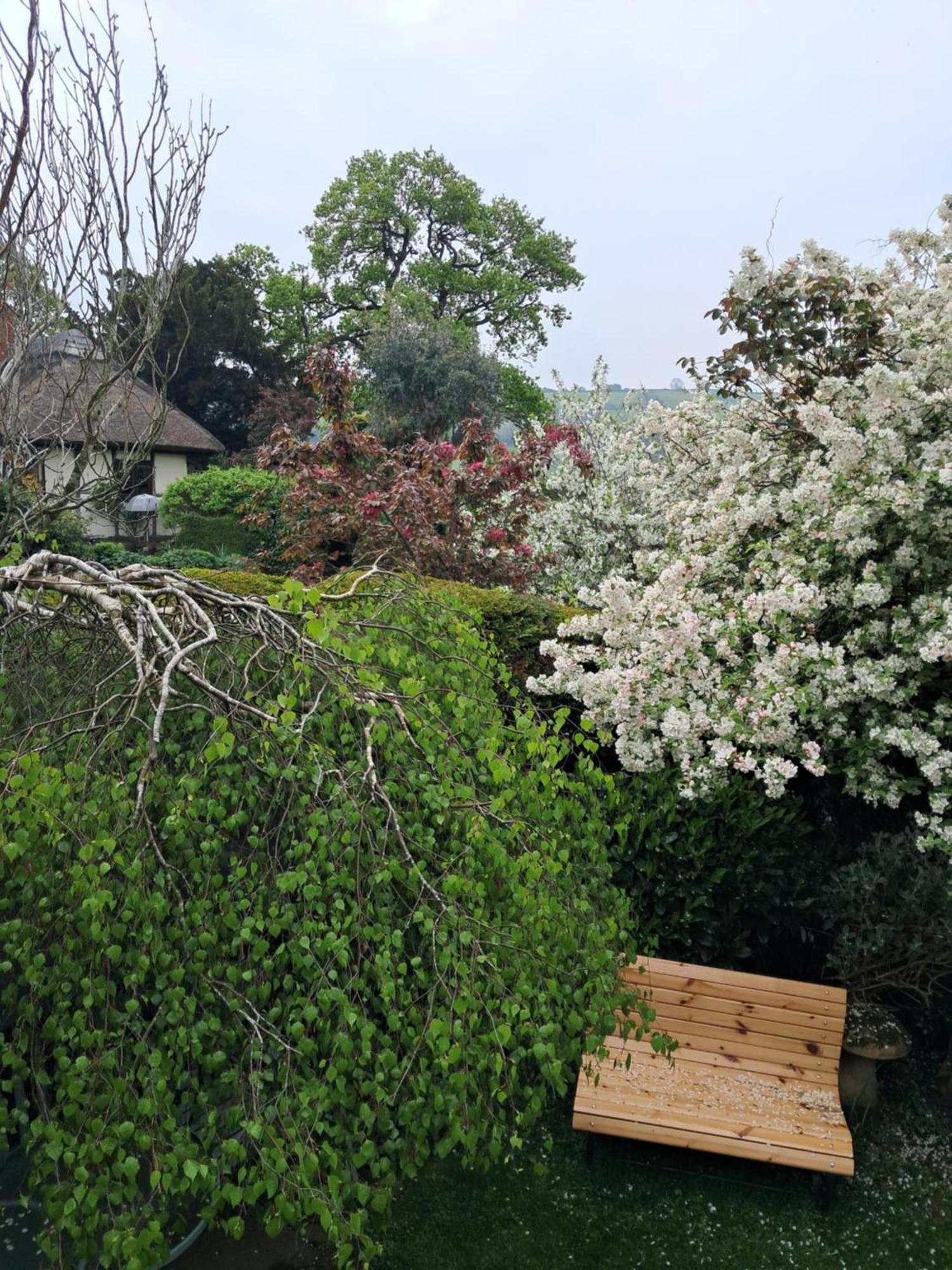 Wollaston  Parrs Cottage מראה חיצוני תמונה